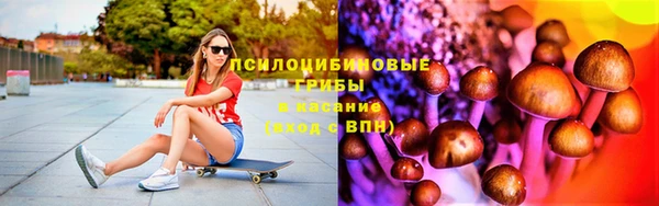PSILOCYBIN Щучье