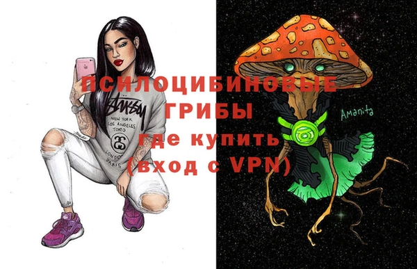 эйфоретик Щёлкино