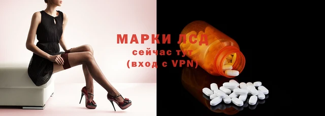 PSILOCYBIN Щучье