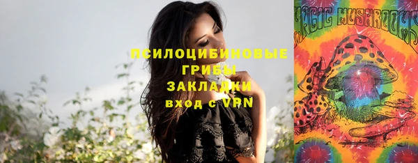 PSILOCYBIN Щучье